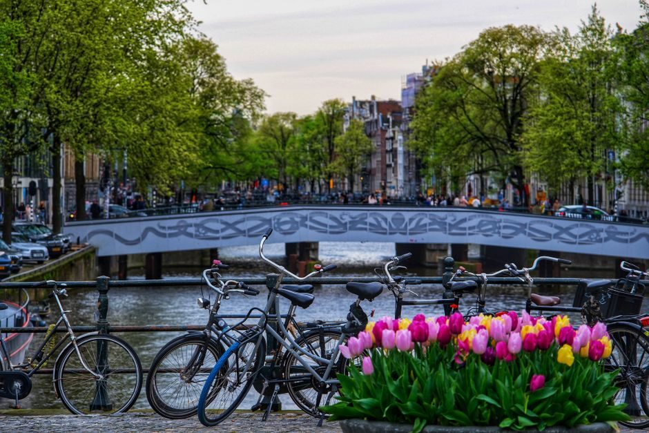 Terras van een buurtcafé in Amsterdam-Oost bij het Oosterpark